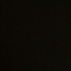 Meet your Posher, Shea